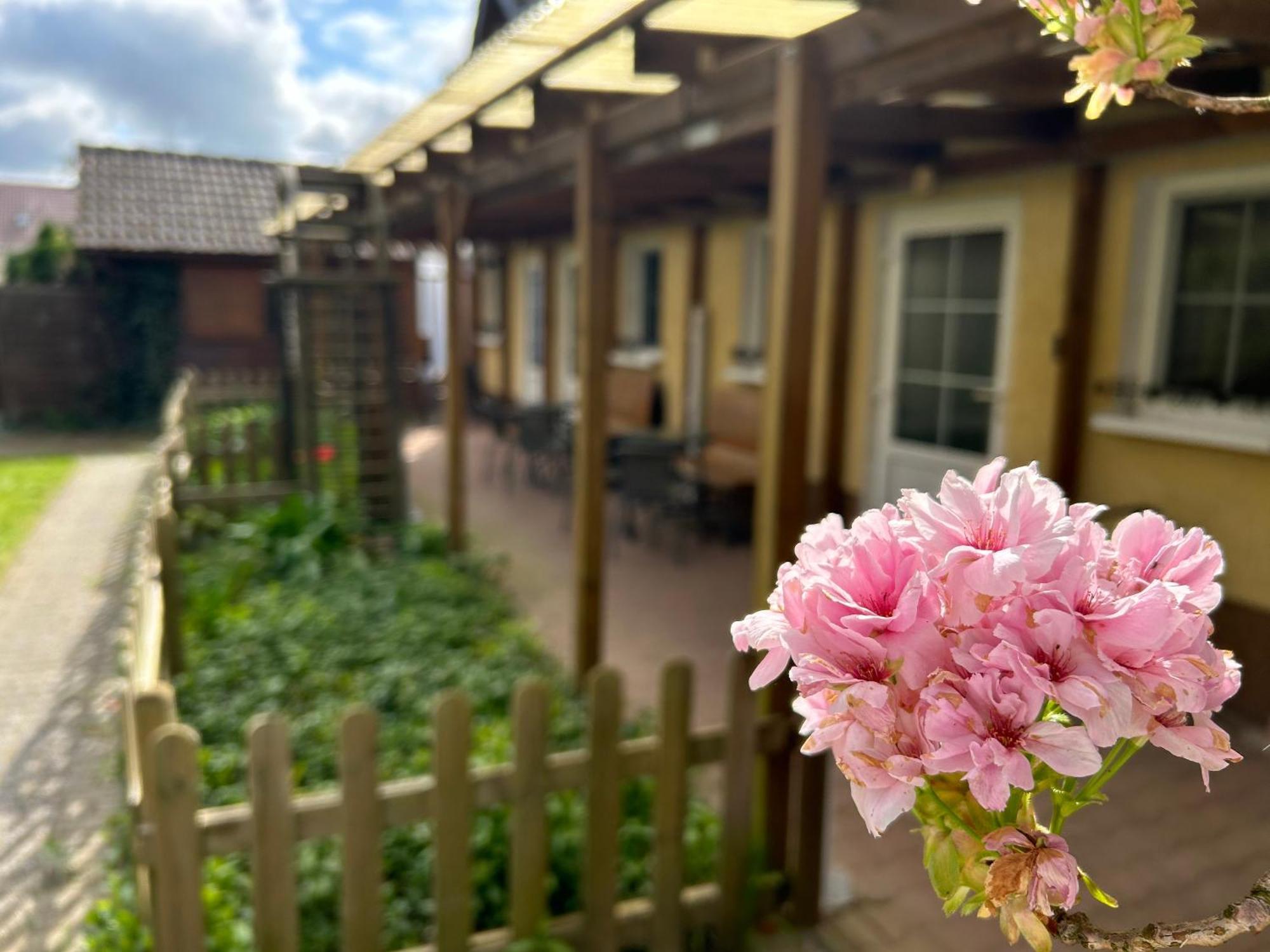 Gemuetliche Wohnung Landlust In See-Naehe Tauche Exterior foto